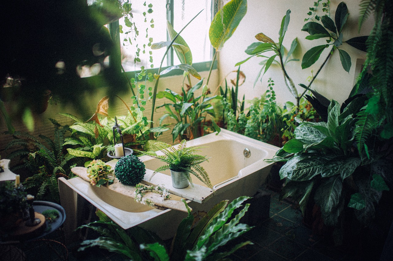 Comment intégrer des plantes d’intérieur dans votre salon pour une touche de verdure