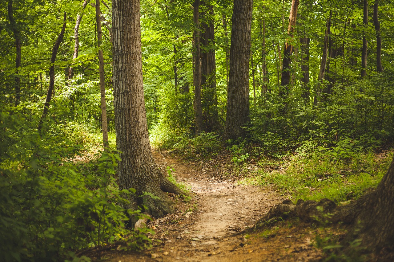 Les meilleures astuces pour découvrir des lieux hors des sentiers battus