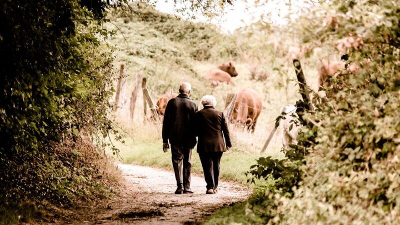 Les bienfaits de la marche rapide pour votre santé cardiovasculaire et votre bien-être mental