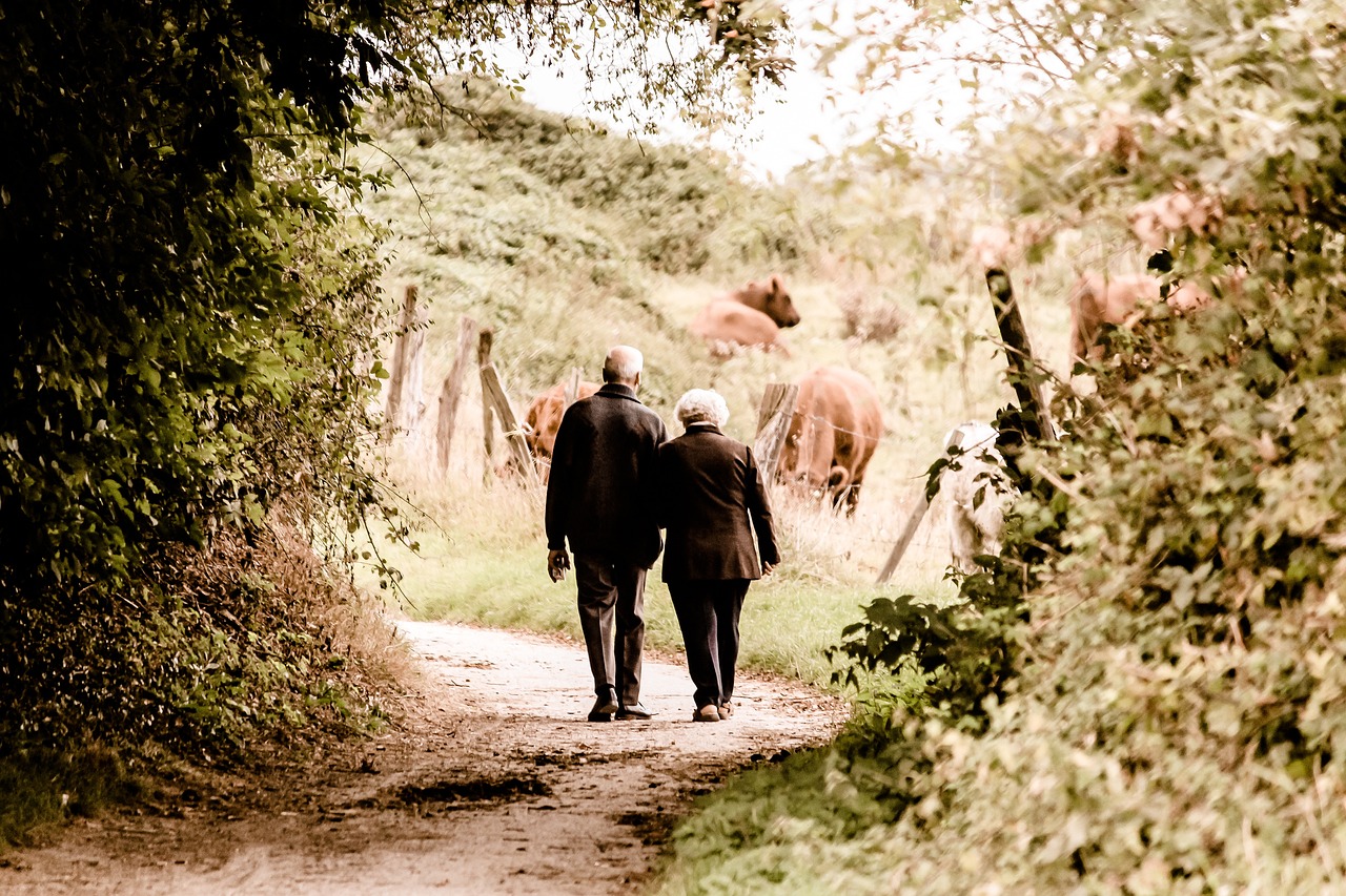 Les bienfaits de la marche rapide pour votre santé cardiovasculaire et votre bien-être mental