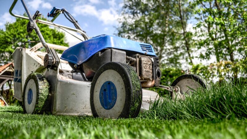 Comment choisir la tondeuse à gazon parfaite pour vos besoins