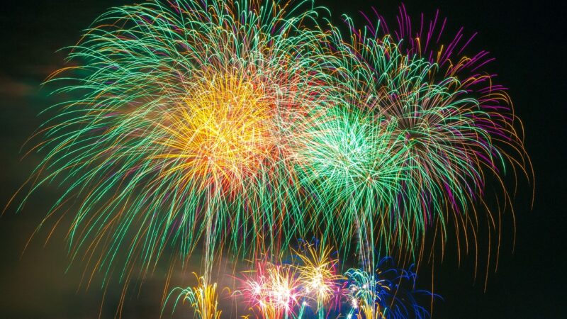 Comment aider votre chien à surmonter la peur des feux d’artifice