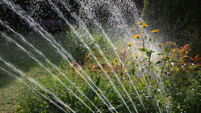 Les astuces pour aménager un système d’irrigation efficace dans votre jardin