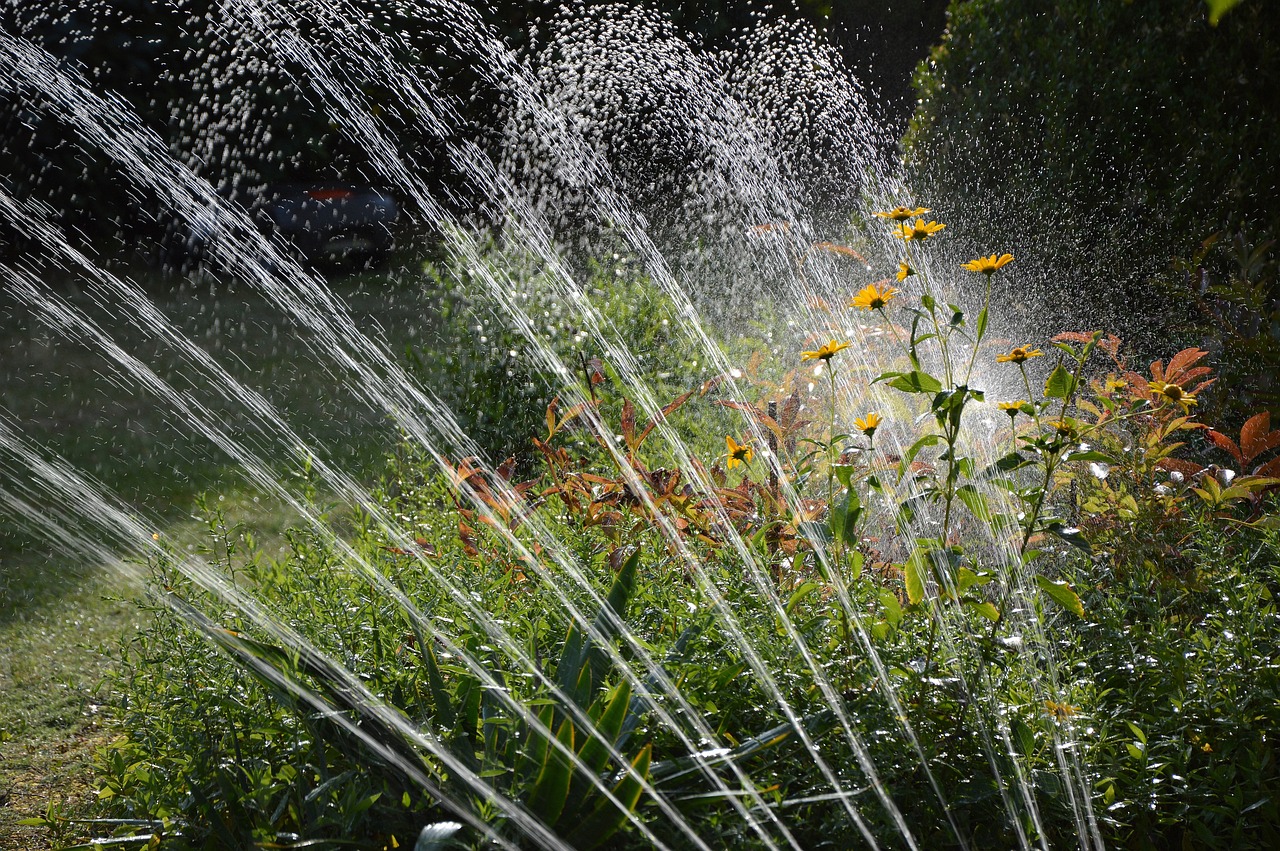 Les astuces pour aménager un système d’irrigation efficace dans votre jardin