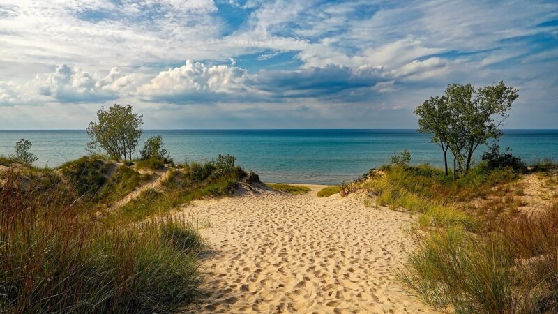 Les sanctuaires de la vie sauvage : des vacances au cœur de la nature