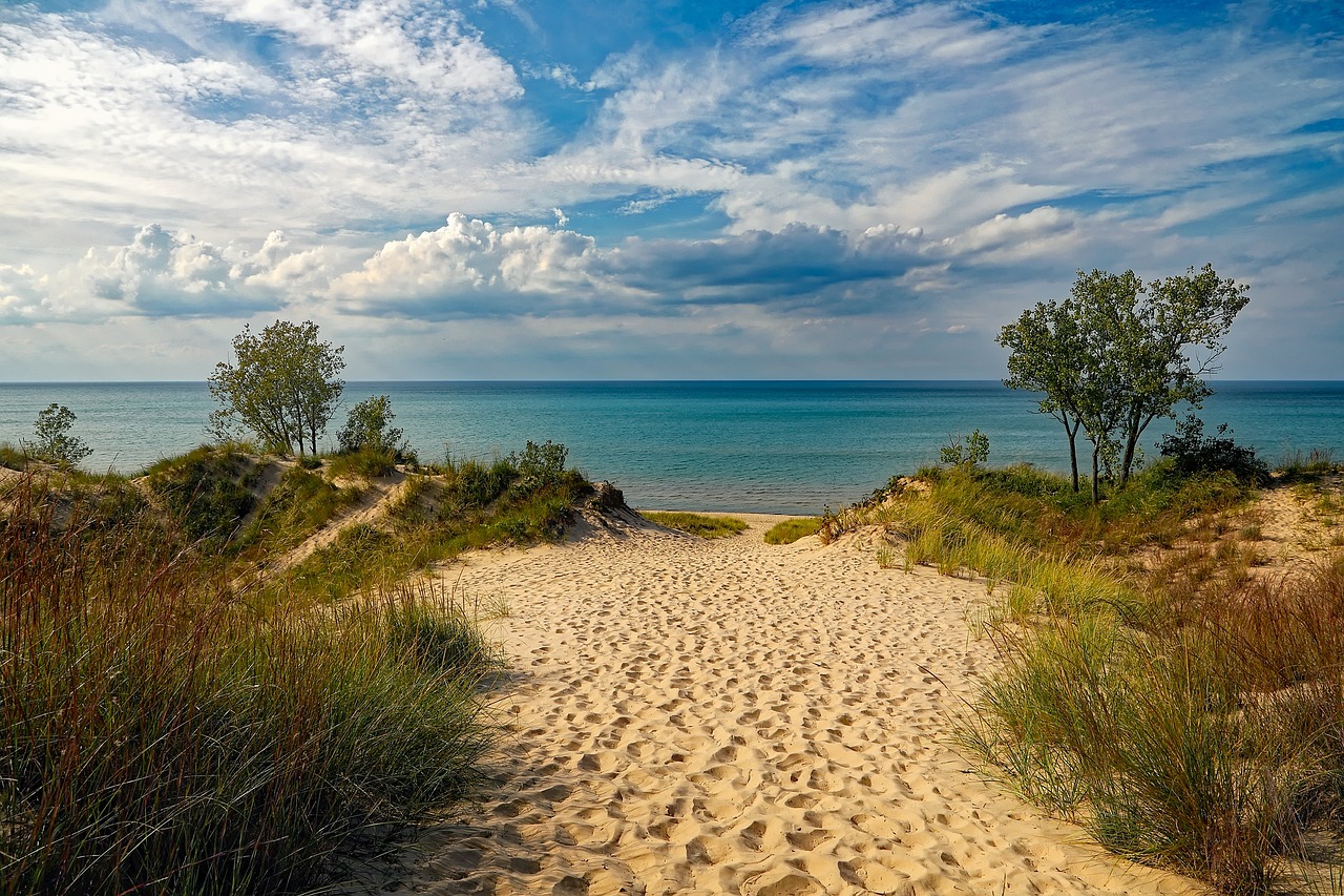 Les sanctuaires de la vie sauvage : des vacances au cœur de la nature