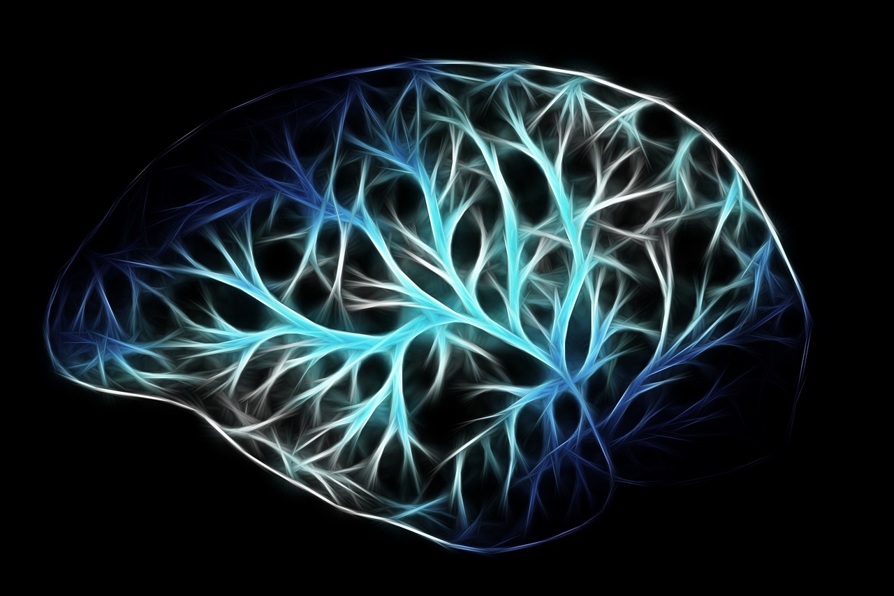 Les effets de la méditation sur le cerveau : la science derrière la pratique