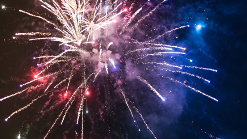 Comment aider votre chat à surmonter la peur des feux d’artifice