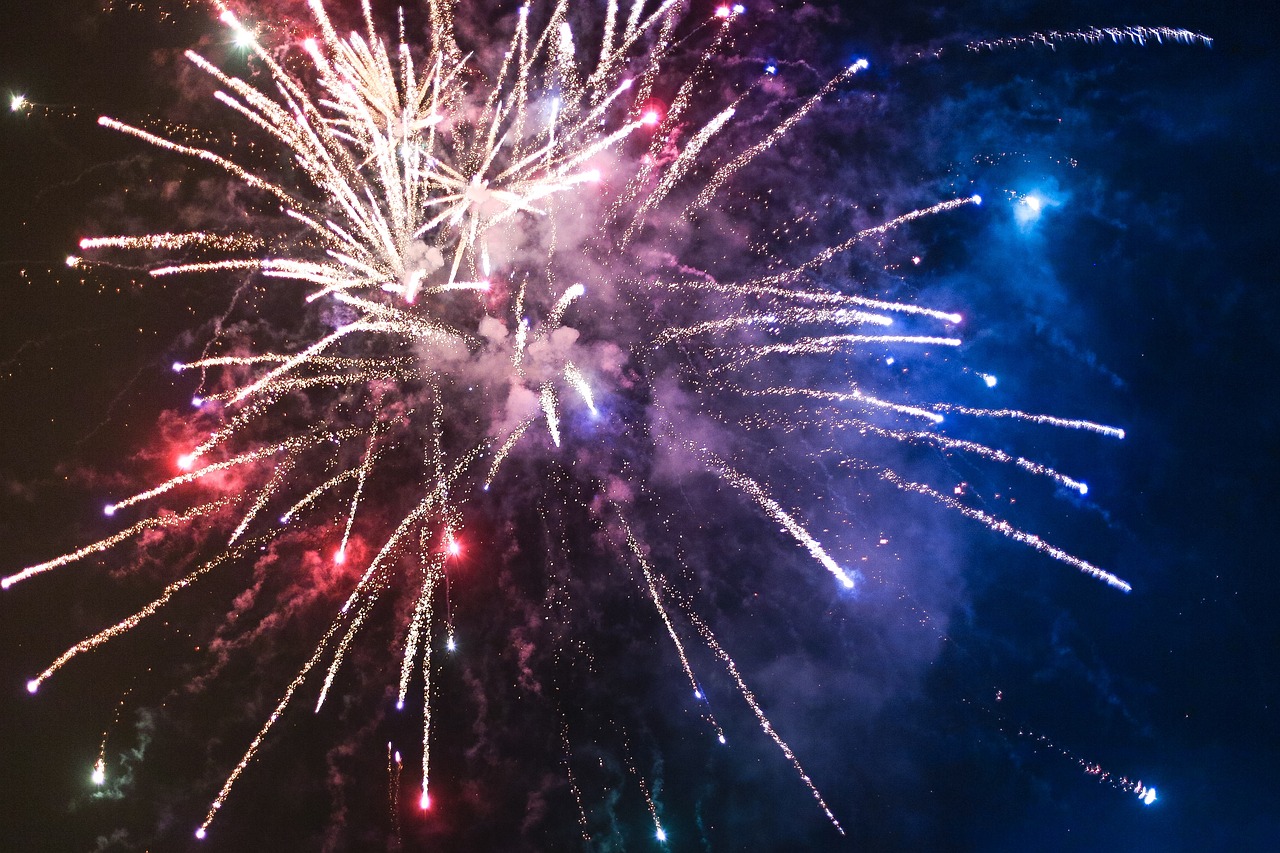 Comment aider votre chat à surmonter la peur des feux d’artifice