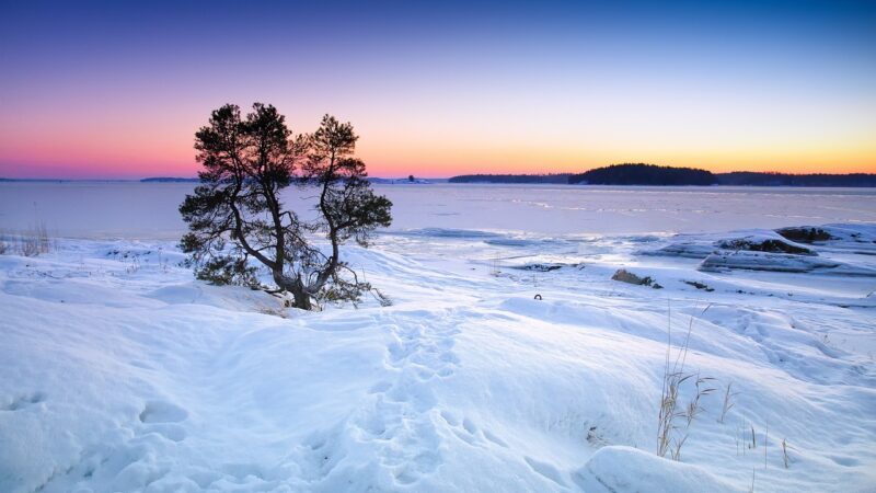 Le charme des pays nordiques : la Suède, la Finlande et le Danemark