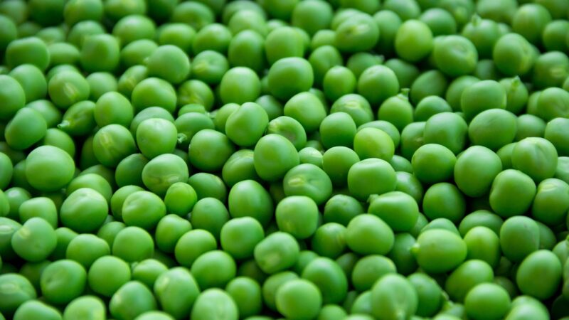 Pourquoi les légumes verts sont-ils vos meilleurs alliés contre le cancer ?