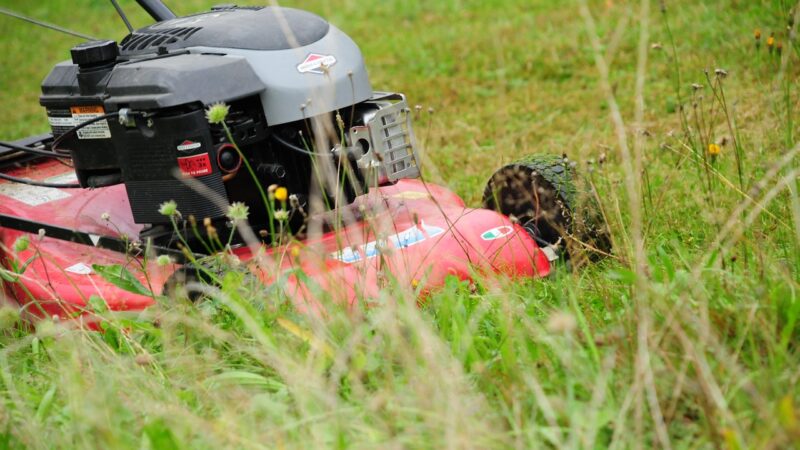 Tonte mulching : qu’est-ce que c’est et quels en sont les avantages ?