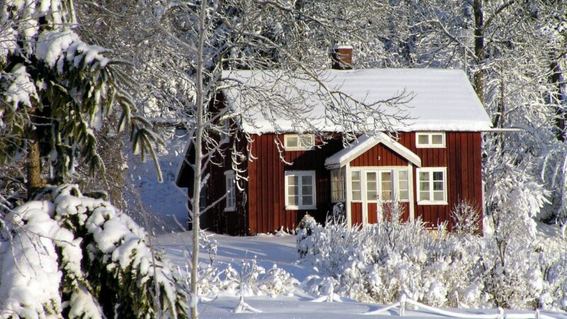 Les techniques de protection hivernale pour préserver vos plantes du froid