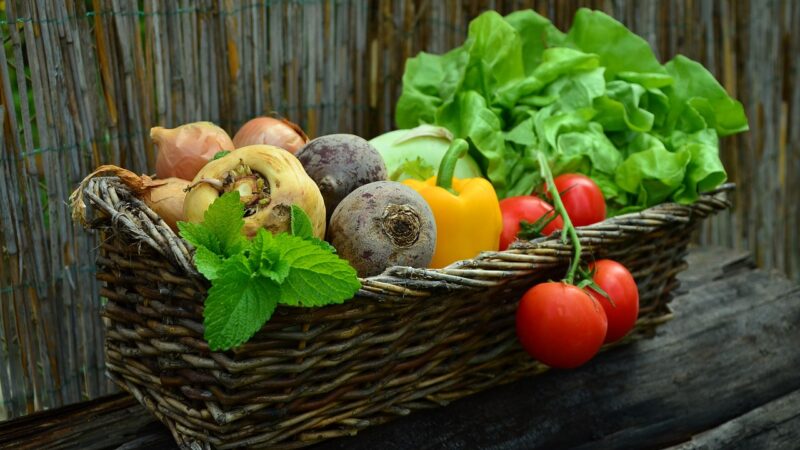 Que manger pour être en bonne santé