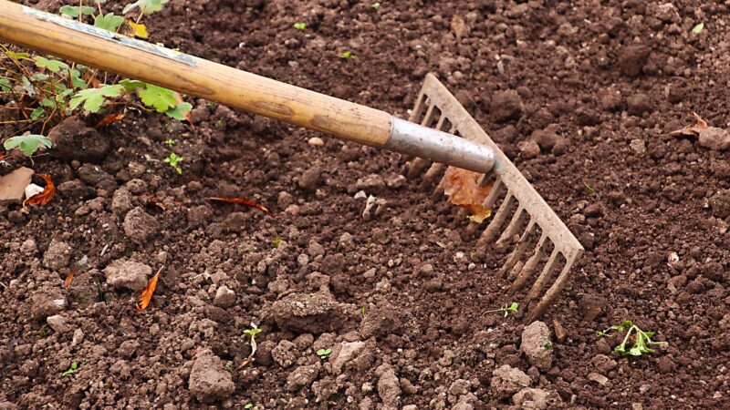 Les meilleurs outils de jardinage et comment les utiliser correctement