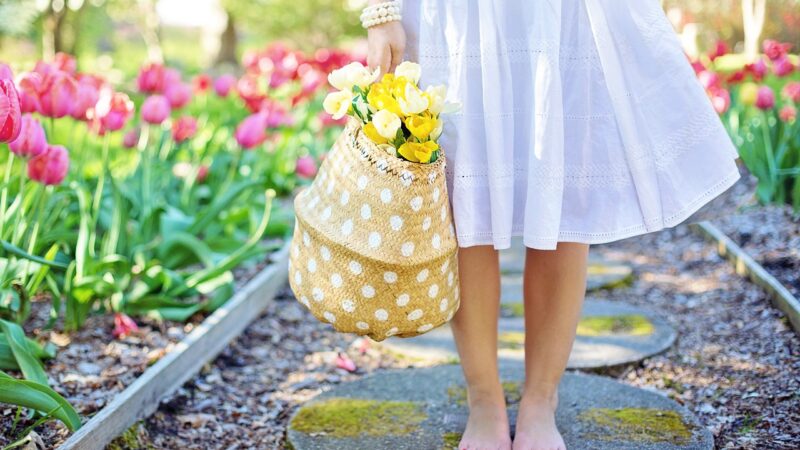 Les utilisations surprenantes du bicarbonate de soude dans le jardin