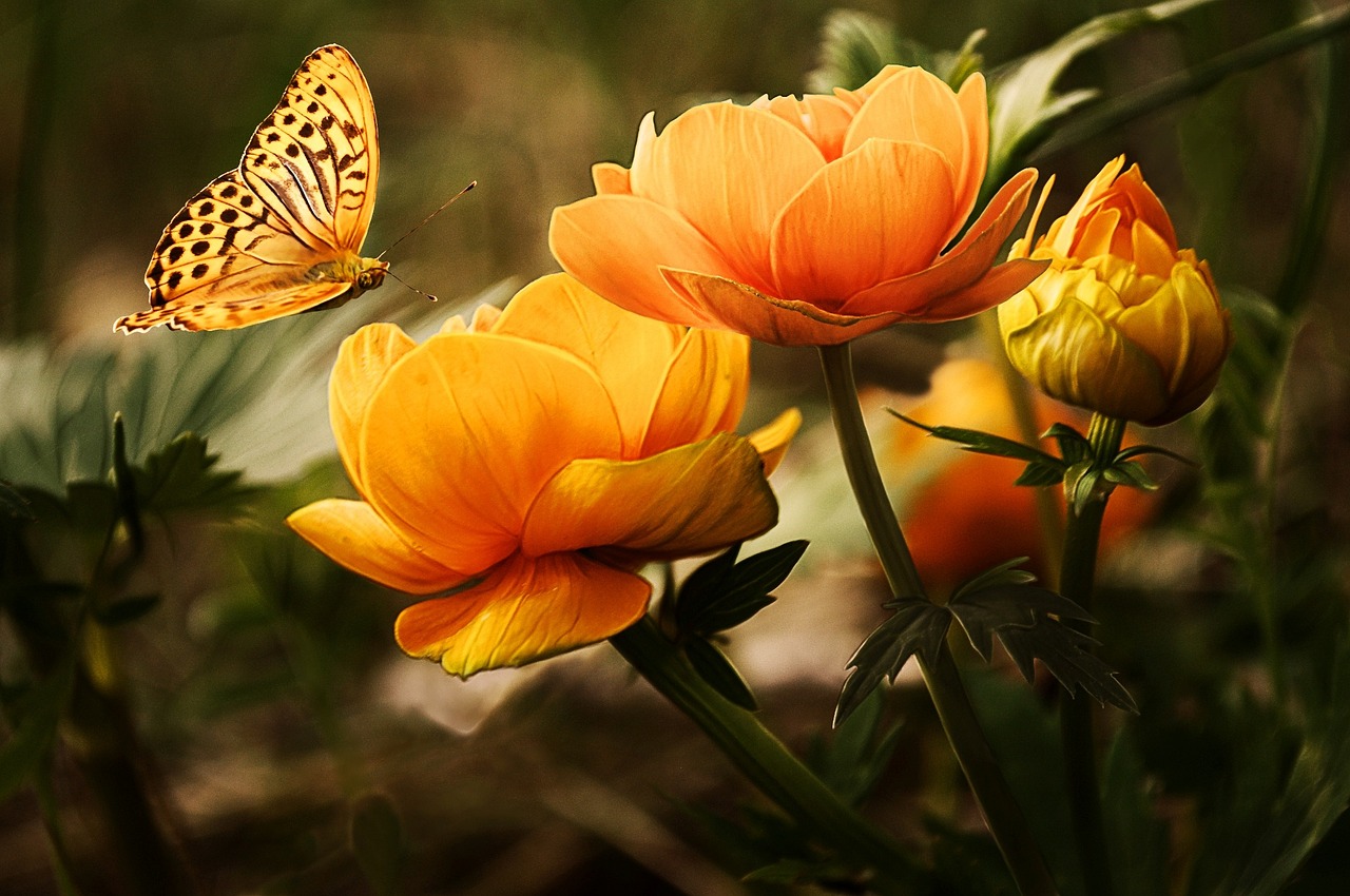 La fin de la biodiversité : Comment faire face à la peur de perdre la nature que nous aimons ?