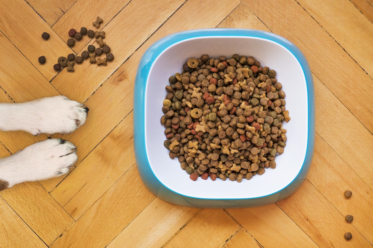 Astuce pour faire des croquettes maison pour son chien