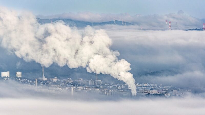 Vivre à l’ère du changement climatique : Comment gérer l’anxiété écologique ?