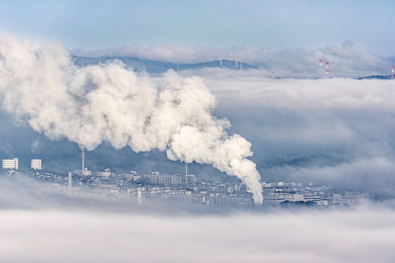 Vivre à l’ère du changement climatique : Comment gérer l’anxiété écologique ?