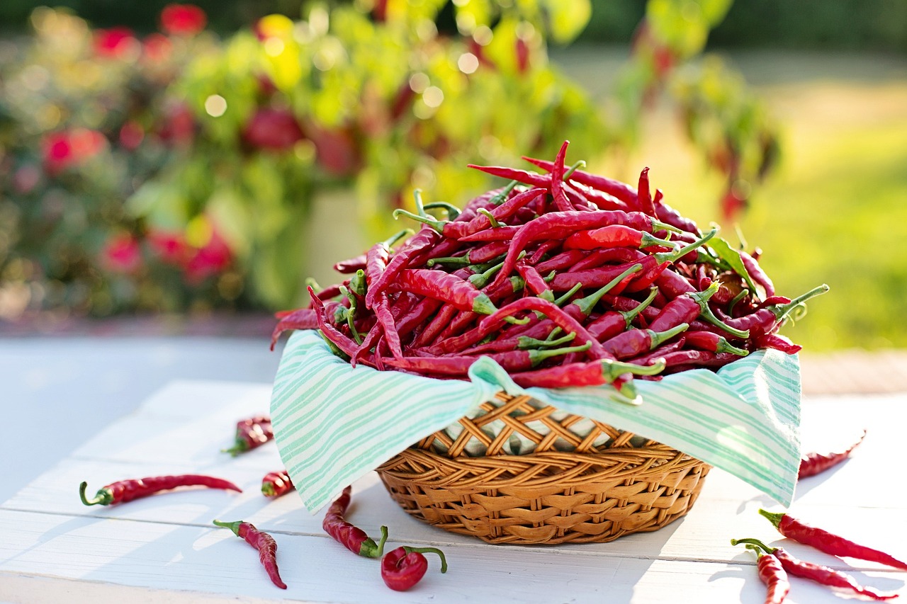 10 Astuces pour Augmenter votre Métabolisme Naturellement