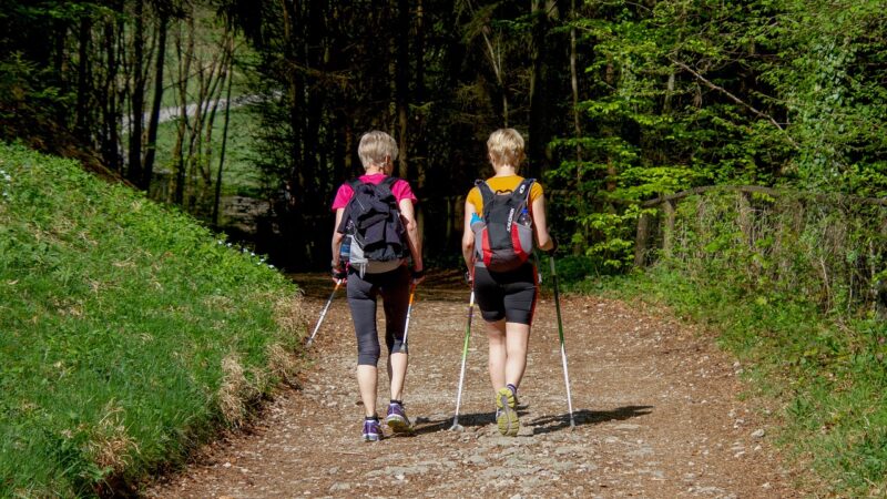 Les bienfaits de la marche quotidienne sur votre santé globale