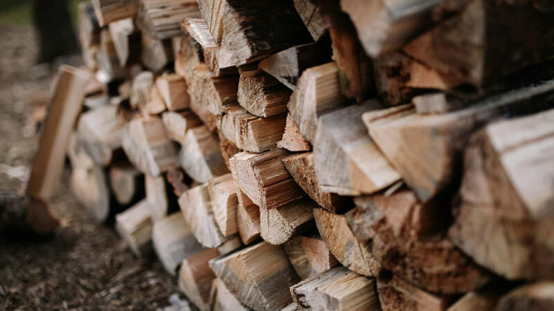 « Je n’ai pas acheté de bois du tout pour cet hiver » : Récupérez du bois gratuitement avec cette solution ancestrale (et légale) peu connue du grand public