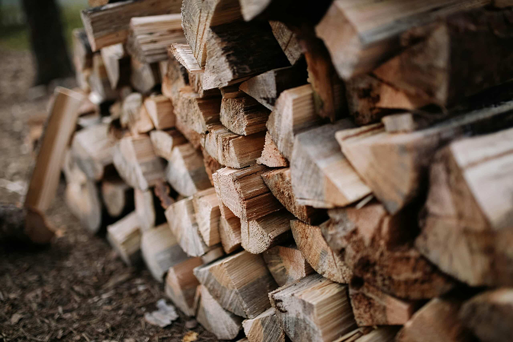 « Je n’ai pas acheté de bois du tout pour cet hiver » : Récupérez du bois gratuitement avec cette solution ancestrale (et légale) peu connue du grand public